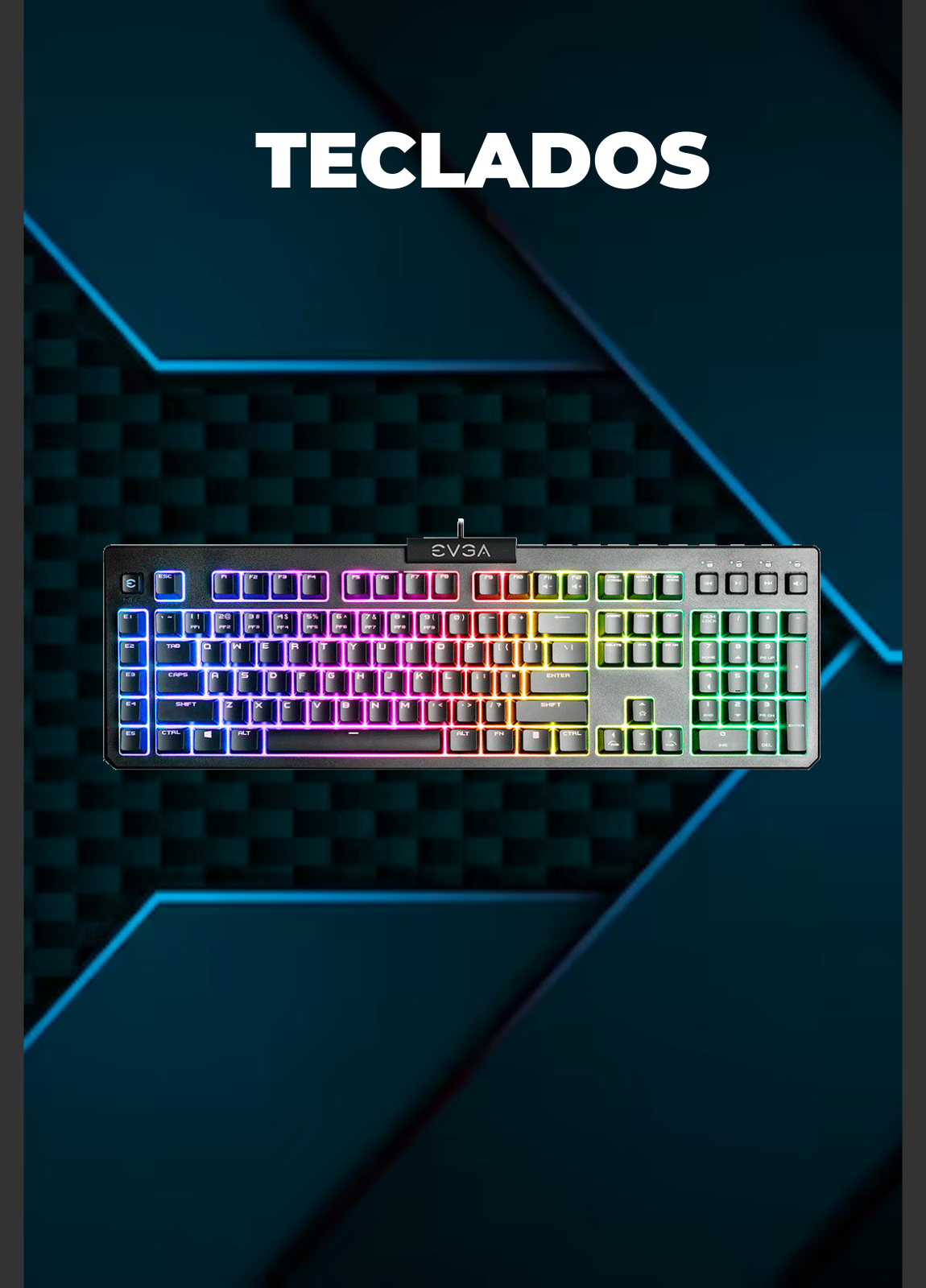 Teclados